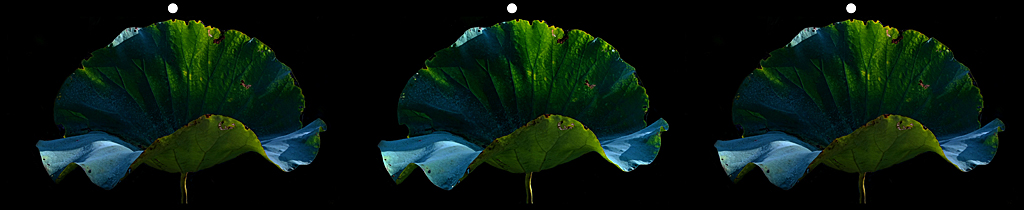 016_O_2026 016_O_2026