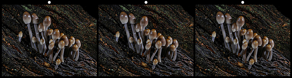 032_O_2026 032_O_2026
