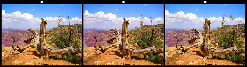 009_S_2026 009_S_2026